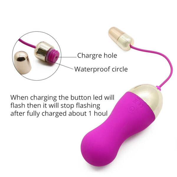 Vibrator 10 Speeds Remote Control Wireless Vibrating Love Eggs G-Spot Vibrator Waterproof USB Rechargeable Sex Toys For Woman Kegel Ball, - Image 5